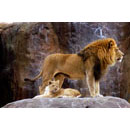 Madinaharabic.com lesson image